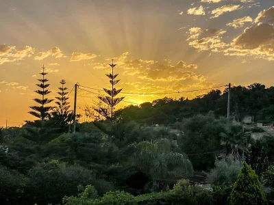 Arialkis-18-edit-2