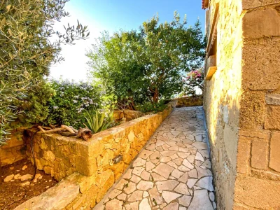 Arialkis-28-edit-2